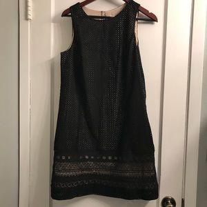 💖Pretty & Flattering! Beige & Black Dress💖